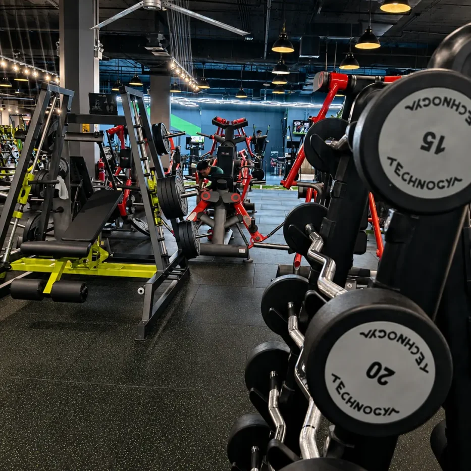 gym-for-bodybuilding